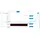 SquareSpace CS-Cart Shop Connector